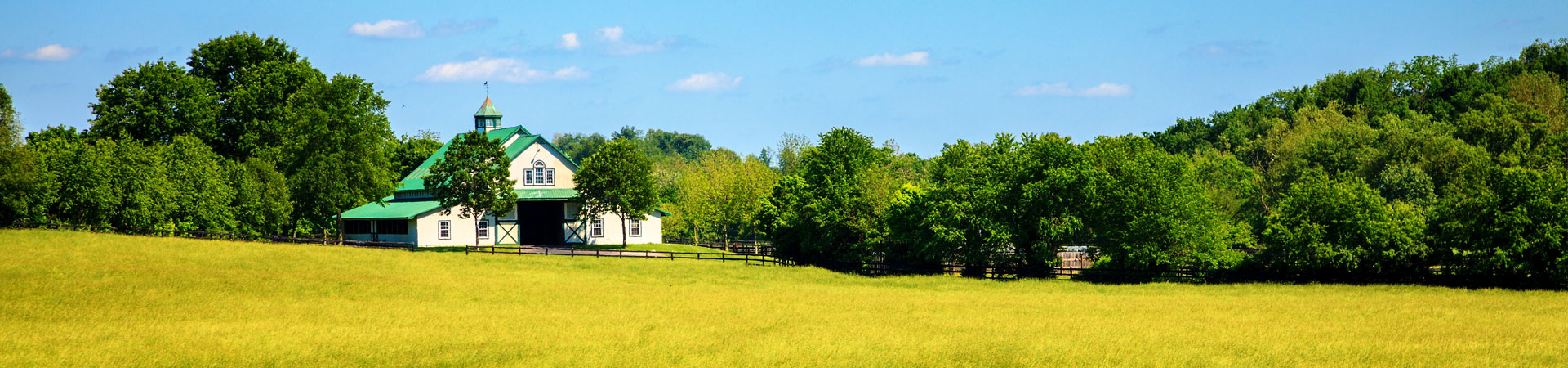 Land & Property Management